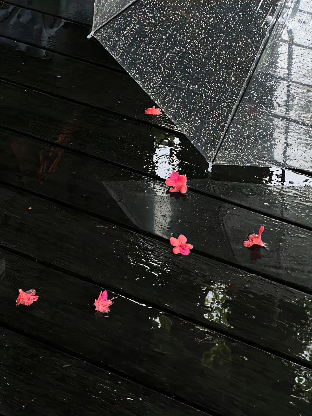 Trả Lại Anh Ta Cho Bạch Nguyệt Quang