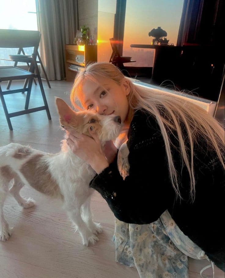 Gặp Lại Người Tôi Yêu