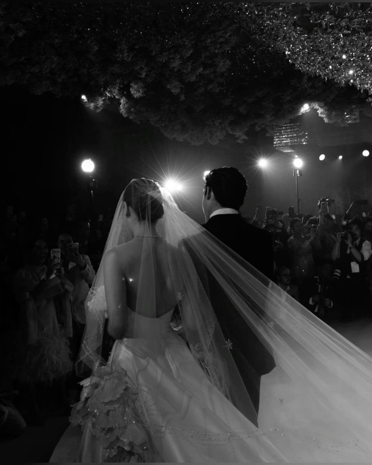 Tôi Họ Lâm, Không Phải Họ Từ