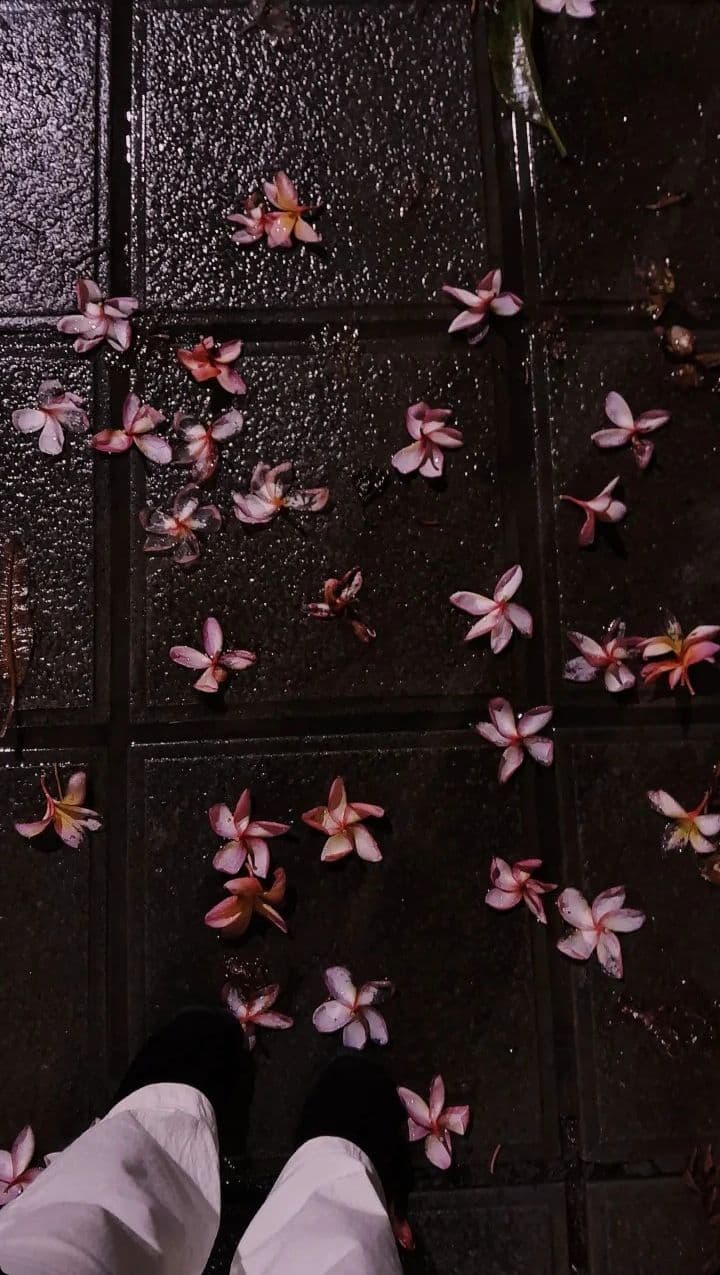 Tôi Giéc Mẹ Mình