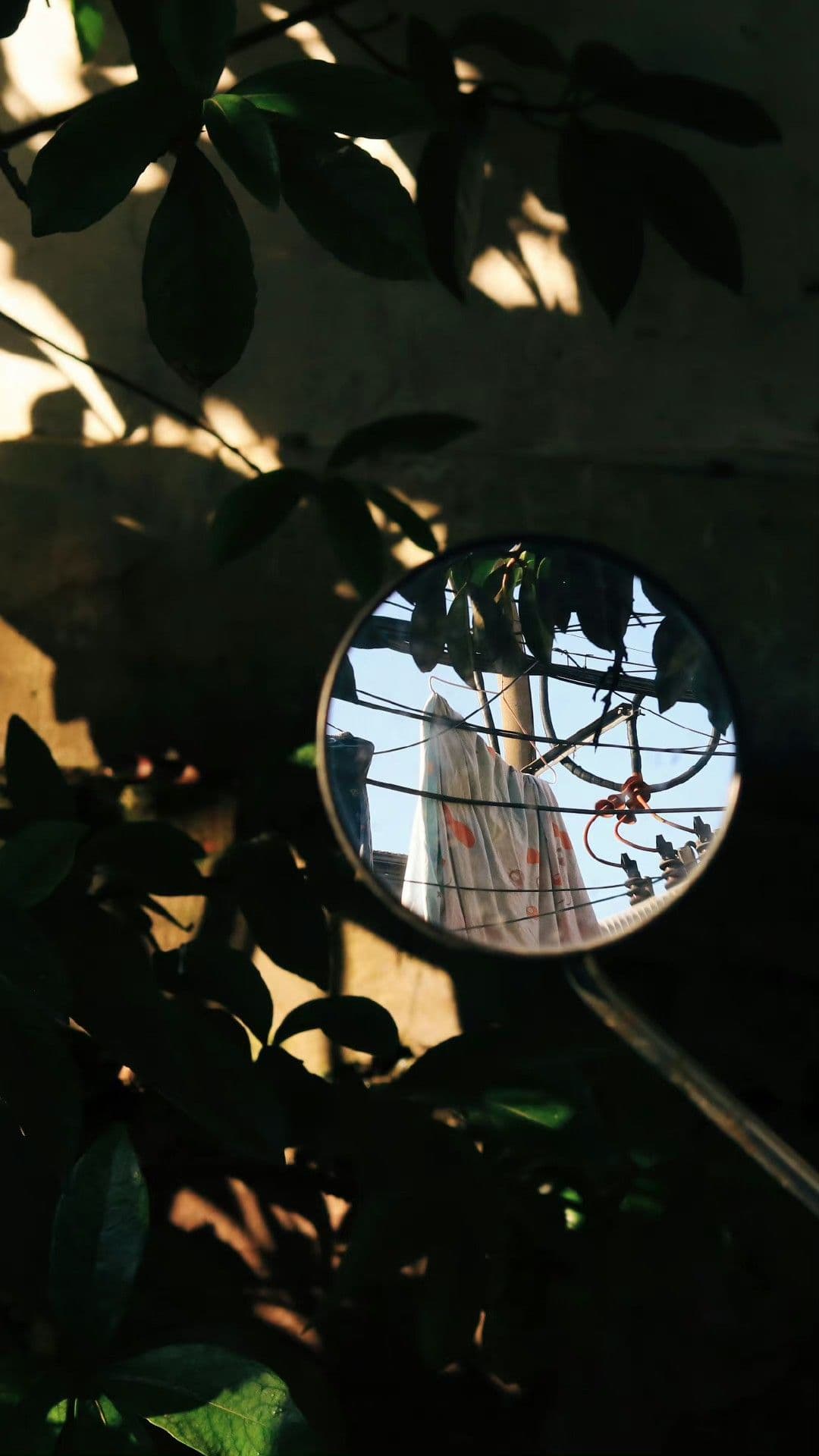 Tình Yêu Kiên Định Đến Chết